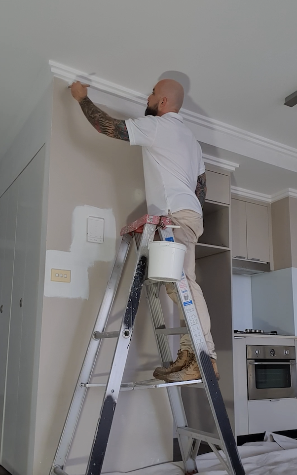 Amil painting — Harbour City Painting